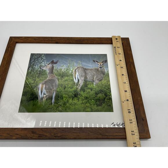 Caleb Koland Deer Wildlife Landscape Photo Print Framed Vintage Signed Wall Art - Picture 4 of 6